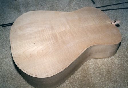 Maple Body